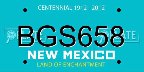 BGS658 New Mexico License Plate