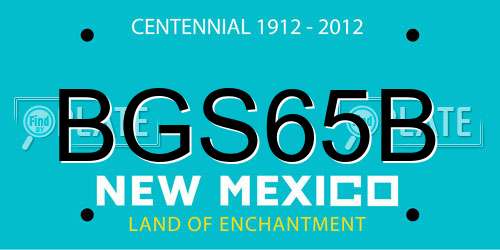 BGS65B New Mexico License Plate