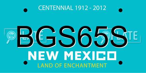 BGS65S New Mexico License Plate