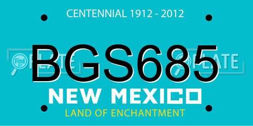 BGS685 New Mexico License Plate