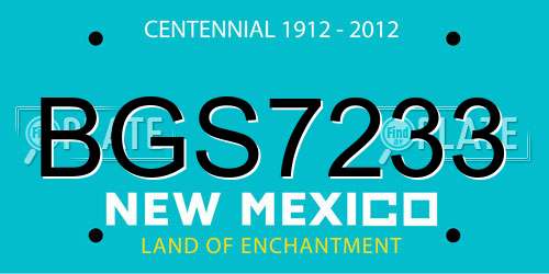 BGS7233 New Mexico License Plate
