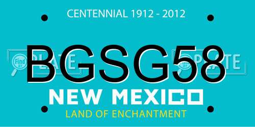 BGSG58 New Mexico License Plate
