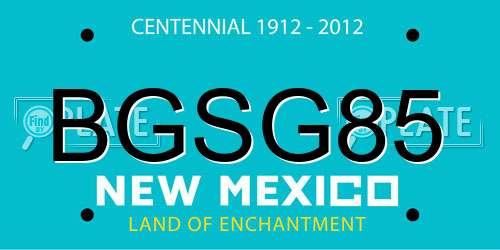 BGSG85 New Mexico License Plate