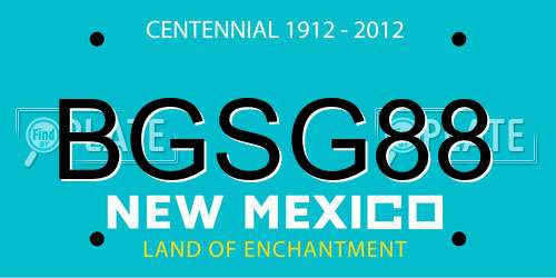 BGSG88 New Mexico License Plate