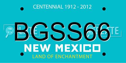 BGSS66 New Mexico License Plate