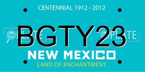 BGTY23 New Mexico License Plate