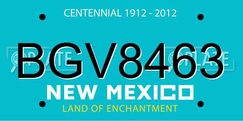 BGV8463 New Mexico License Plate