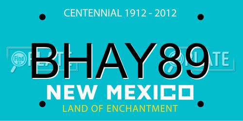 BHAY89 New Mexico License Plate