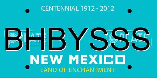 BHBYSSS New Mexico License Plate