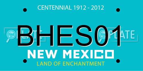 BHES01 New Mexico License Plate