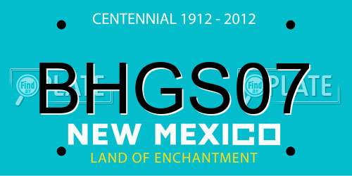 BHGS07 New Mexico License Plate