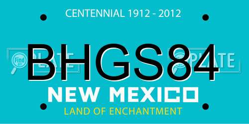 BHGS84 New Mexico License Plate
