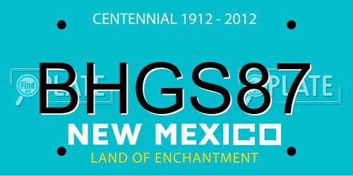BHGS87 New Mexico License Plate