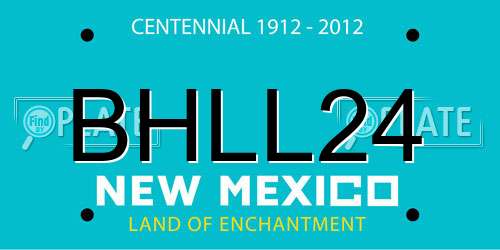 BHLL24 New Mexico License Plate