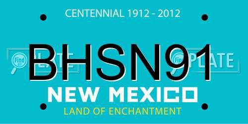 BHSN91 New Mexico License Plate