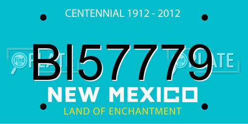 BI57779 New Mexico License Plate