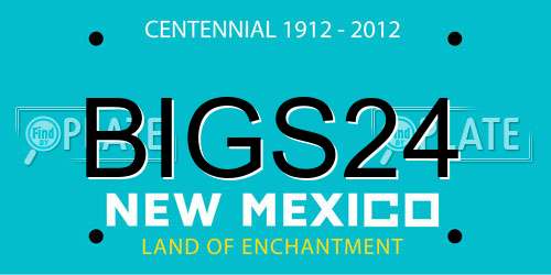 BIGS24 New Mexico License Plate