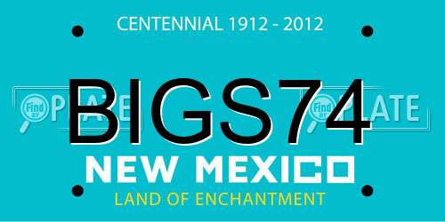 BIGS74 New Mexico License Plate