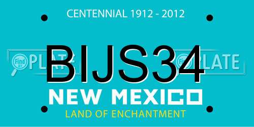 BIJS34 New Mexico License Plate