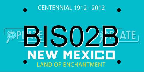 BIS02B New Mexico License Plate