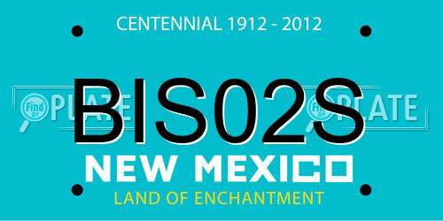 BIS02S New Mexico License Plate