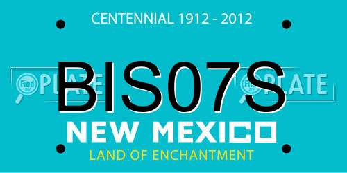 BIS07S New Mexico License Plate
