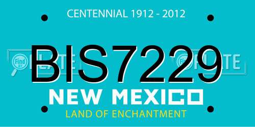 BIS7229 New Mexico License Plate