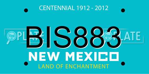 BIS883 New Mexico License Plate
