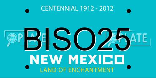 BISO25 New Mexico License Plate