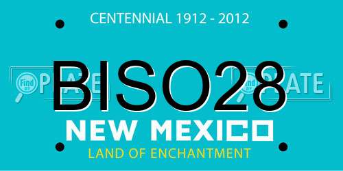 BISO28 New Mexico License Plate