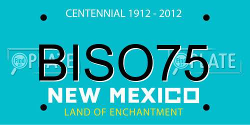 BISO75 New Mexico License Plate
