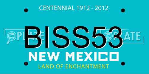 BISS53 New Mexico License Plate