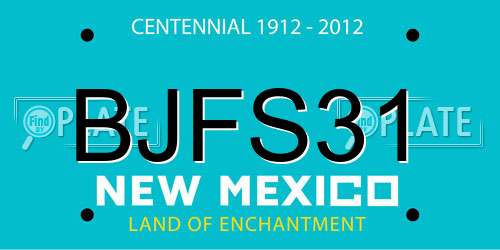 BJFS31 New Mexico License Plate