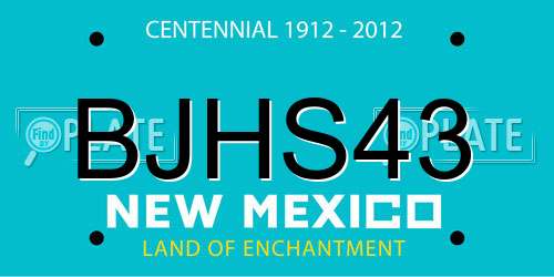 BJHS43 New Mexico License Plate