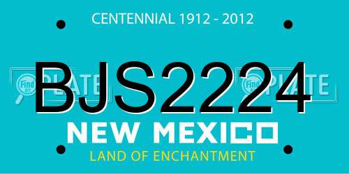 BJS2224 New Mexico License Plate