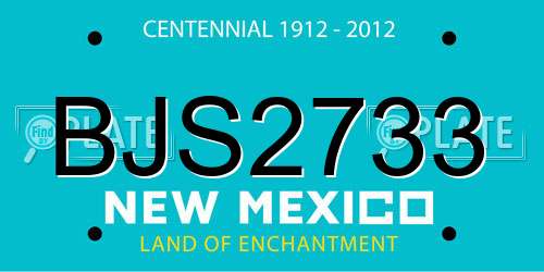 BJS2733 New Mexico License Plate