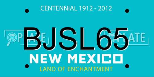BJSL65 New Mexico License Plate