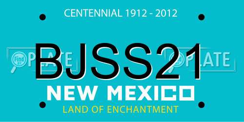 BJSS21 New Mexico License Plate