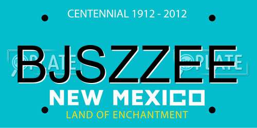 BJSZZEE New Mexico License Plate