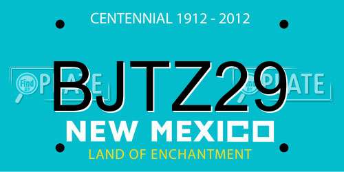 BJTZ29 New Mexico License Plate