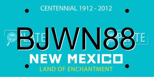 BJWN88 New Mexico License Plate