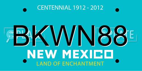 BKWN88 New Mexico License Plate