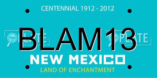 BLAM13 New Mexico License Plate