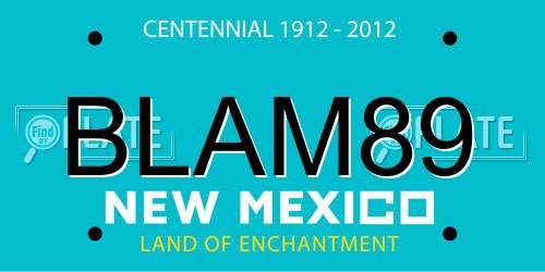 BLAM89 New Mexico License Plate