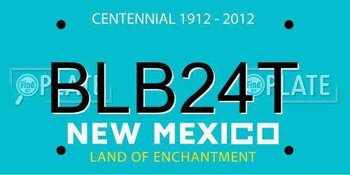BLB24T New Mexico License Plate