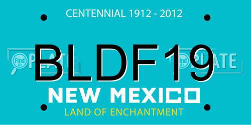 BLDF19 New Mexico License Plate