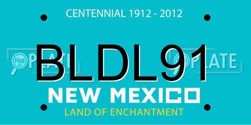 BLDL91 New Mexico License Plate