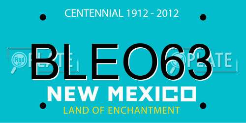 BLEO63 New Mexico License Plate