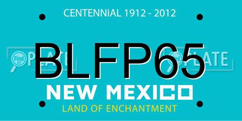 BLFP65 New Mexico License Plate