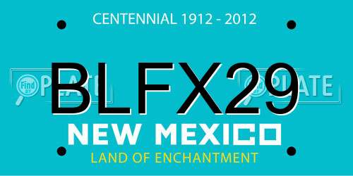 BLFX29 New Mexico License Plate